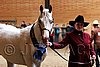 PAS06_0257.jpg