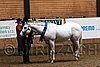 PAS06_0259.jpg