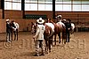 PAS06_0260.jpg