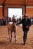 PAS06_0273.jpg
