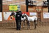 PAS06_0274.jpg