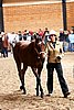 PAS06_0278.jpg