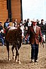 PAS06_0279.jpg
