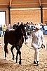 PAS06_0281.jpg