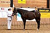 PAS06_0284.jpg