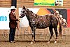 PAS06_0285.jpg