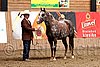 PAS06_0286.jpg
