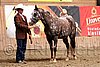 PAS06_0288.jpg