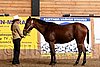 PAS06_0289.jpg