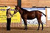 PAS06_0290.jpg