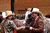 PAS06_0291.jpg