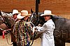 PAS06_0293.jpg