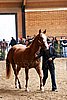 PAS06_0296.jpg