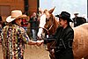 PAS06_0300.jpg