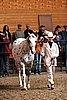 PAS06_0308.jpg