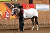 PAS06_0310.jpg