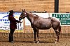 PAS06_0313.jpg