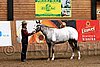 PAS06_0314.jpg