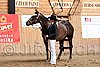 PAS06_0315.jpg