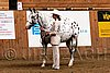 PAS06_0316.jpg