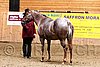 PAS06_0317.jpg