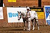 PAS06_0318.jpg