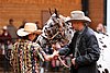 PAS06_0319.jpg