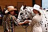 PAS06_0322.jpg