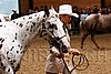 PAS06_0323.jpg