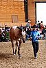 PAS06_0331.jpg