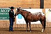 PAS06_0333.jpg