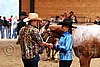 PAS06_0337.jpg