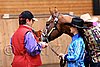 PAS06_0348.jpg