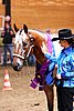 PAS06_0350.jpg