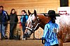 PAS06_0352.jpg