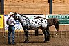 PAS06_0356.jpg
