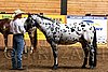 PAS06_0359.jpg