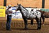 PAS06_0361.jpg
