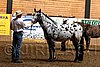 PAS06_0362.jpg