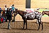 PAS06_0364.jpg