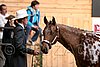 PAS06_0365.jpg