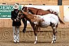 PAS06_0366.jpg