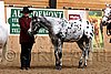 PAS06_0368.jpg