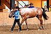 PAS06_0487.jpg