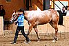 PAS06_0488.jpg