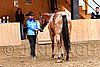 PAS06_0489.jpg
