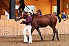 PAS06_0493.jpg