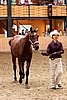 PAS06_0494.jpg