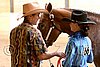 PAS06_0496.jpg