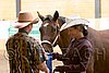 PAS06_0498.jpg